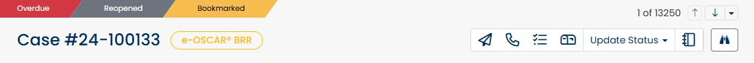 Case_Toolbar_Ribbons.jpg
